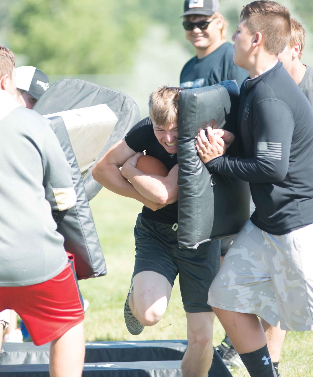 Bison back, bigger and bolder